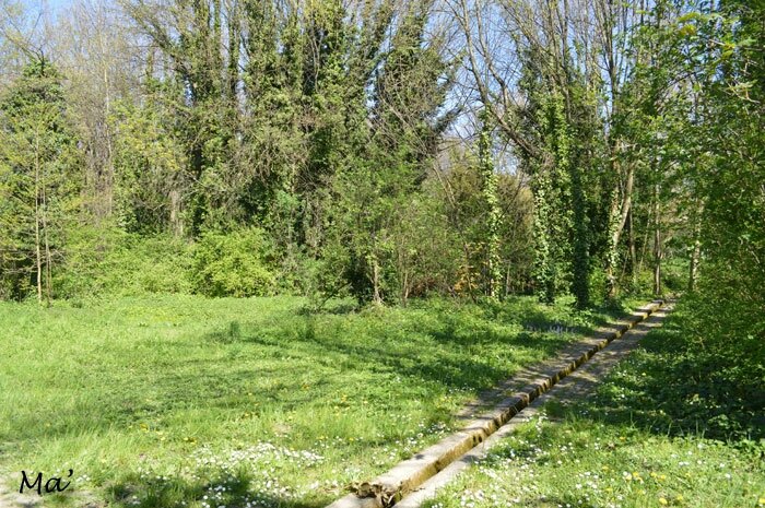 150412_parc_trinitaires6