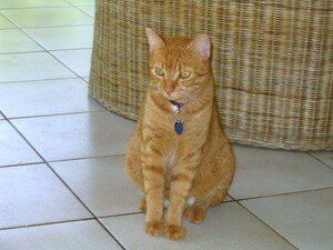 blog_013