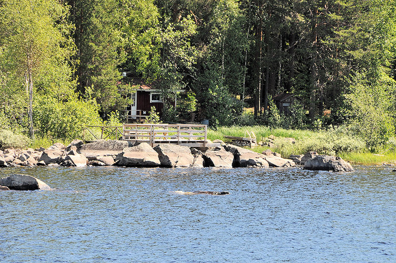 Croisière_sur_le_Lac_Pielinen_ (24)