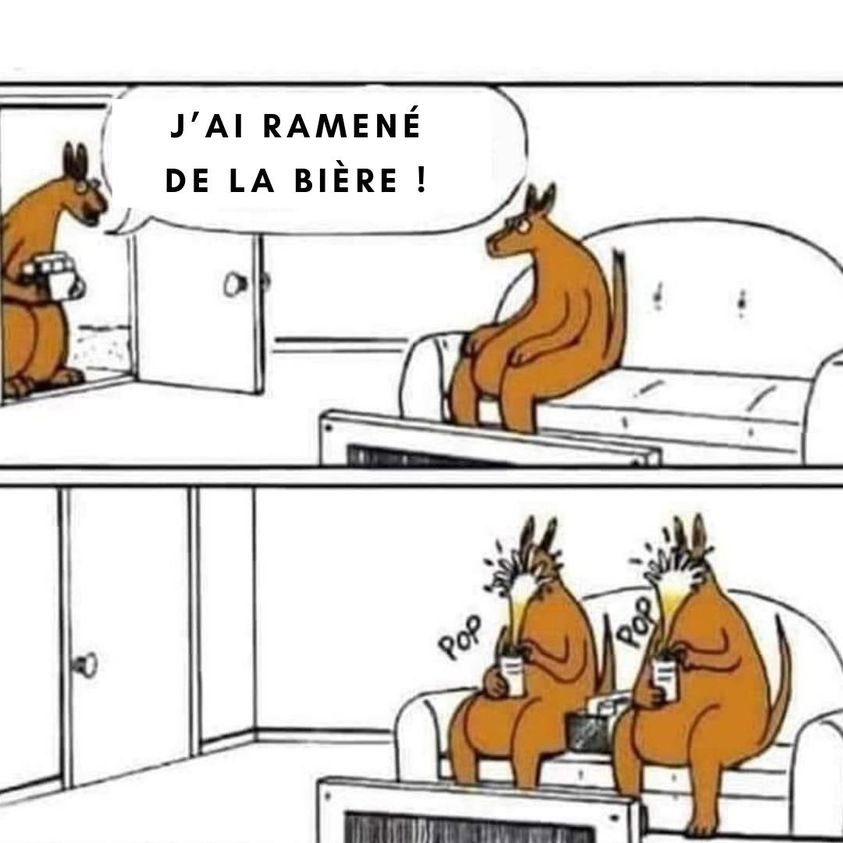Kangourou bière