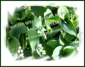 muguet