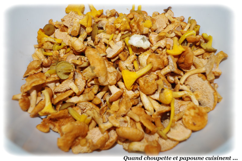 Chanterelles en tubes-8253