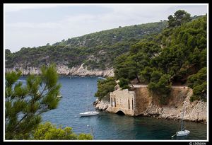 cassis2