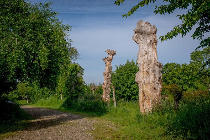 maisonbotaniqueboursay
