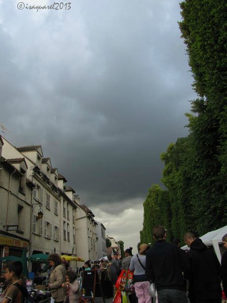 brocante Champs sur Marne4