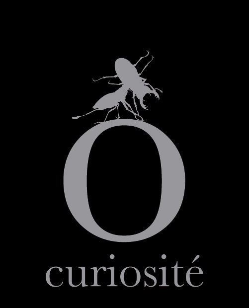 curiosite_black