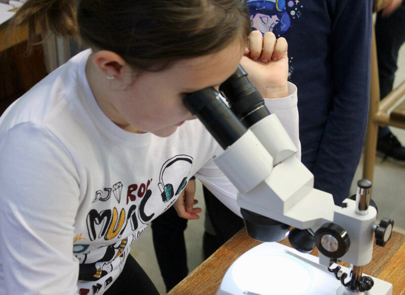 ANY-MARTIN-RIEUX CHOUETTE CPIE 2019 microscope