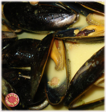 moule_au_lait_de_coco