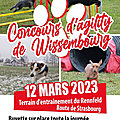 Training Club Canin de WISSEMBOURG