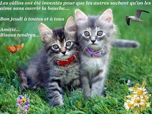 2 chatons bisous tendres