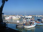 Noirmoutier_et_les_premi_res_pommes_de_terre_021