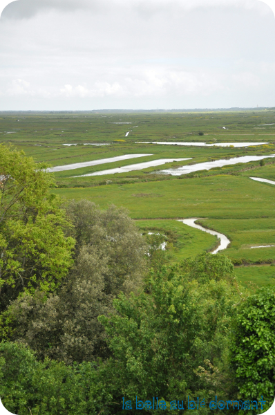 Marais
