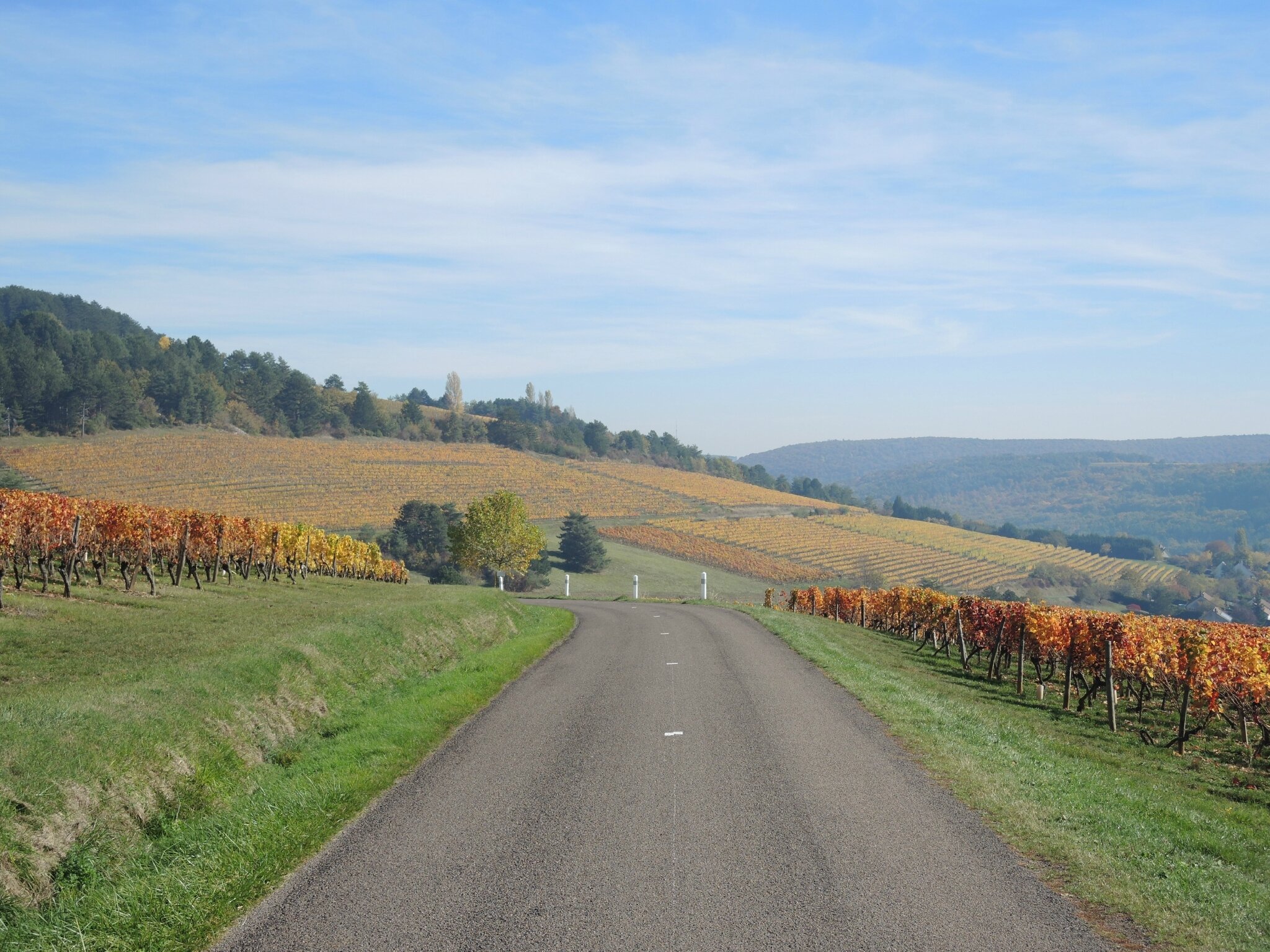 Arcenant, vignes et route  (21)