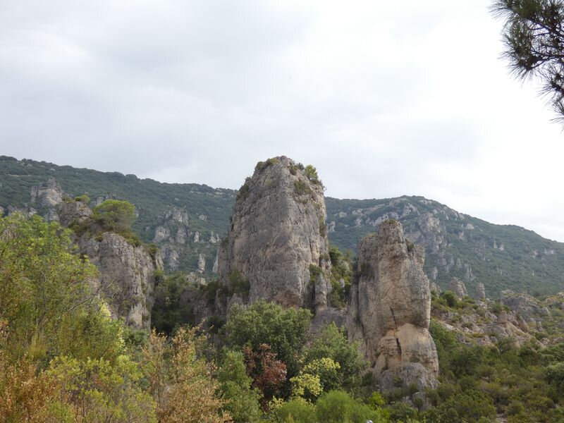 Moureze_13-08-2020(5)