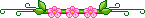 divider_pink_flowers