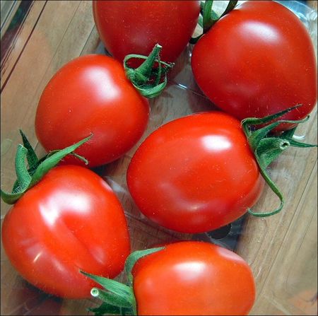 belles_tomates_pour_tarte_a_la_tomate_et_au_salers_192