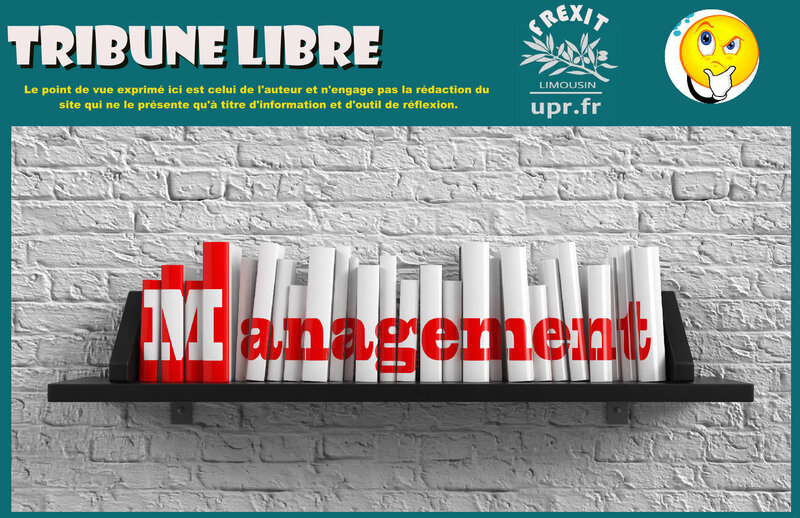 TL MANAGEMENT
