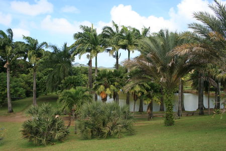 Martinique_Fev_2009_215