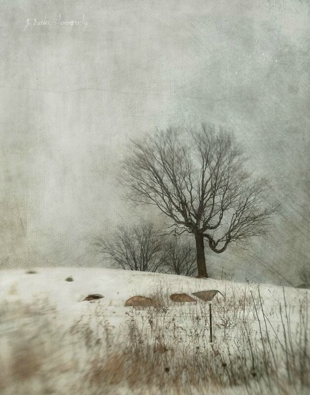 heiden jamie hide and seek winter-walk-watercolor-landscape