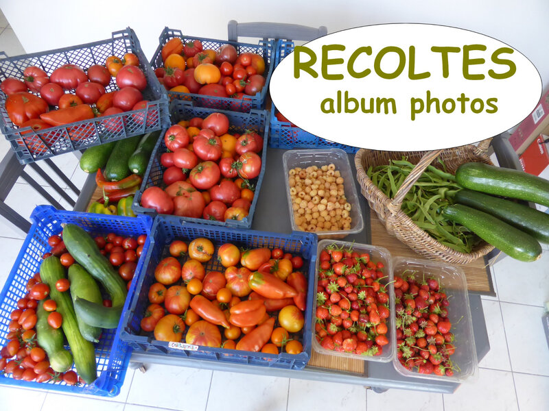 récoltes - album photos