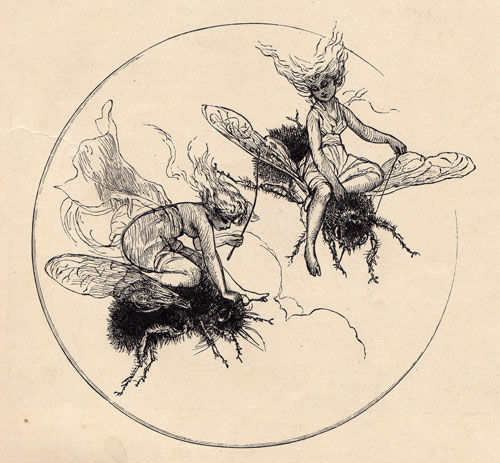 abeilles