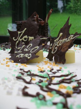 Royal au Chocolat ou Trianon... pour 60 personnes. recettes dessert Royal au Chocolat ou Trianon... pour 60 personnes.