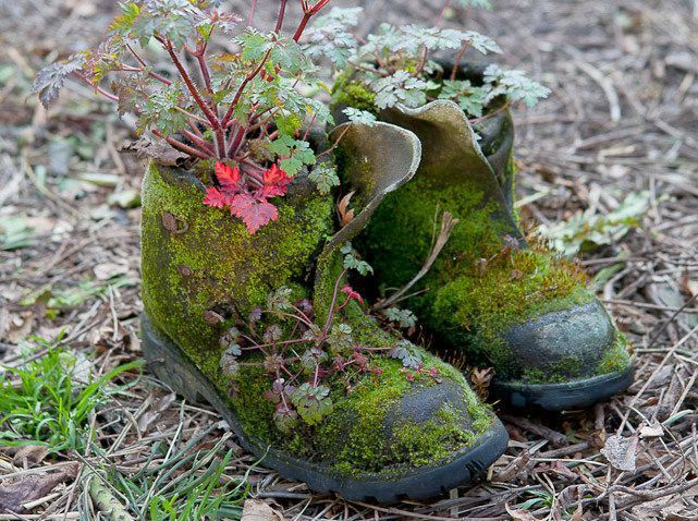 Bottes-jardiniere