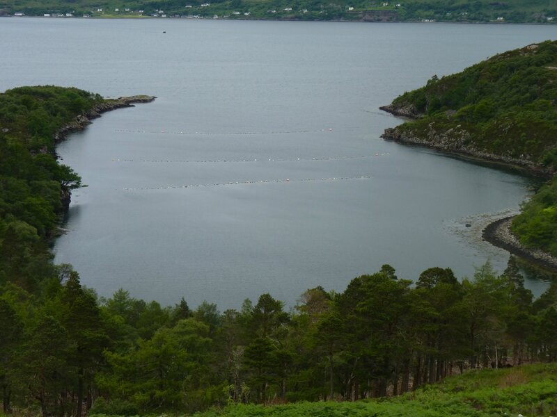 Loch Torridon