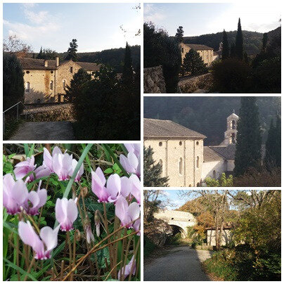 Abbaye d'Aiguebelle (13)