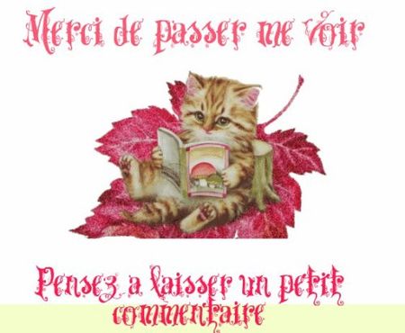 Merci_de_laisser_un_message