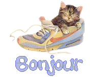 chat_bonjour