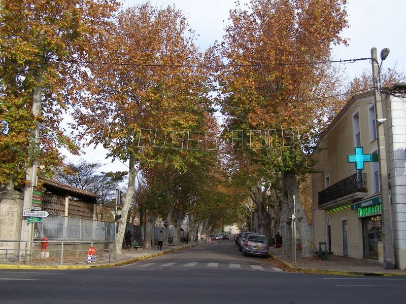 4dec06 013