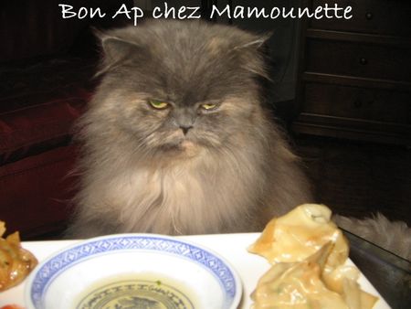 Raviolis_wontons_aux_st_Jacques__crevettes_et_ciboule_053