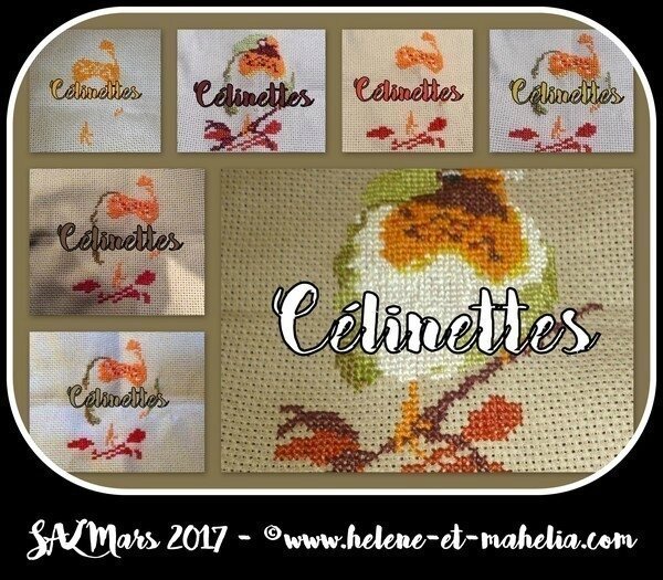 célimettes_salmar17_col3
