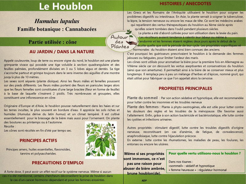 19_40 Houblon pdf