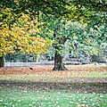 Parc de Branféré 2