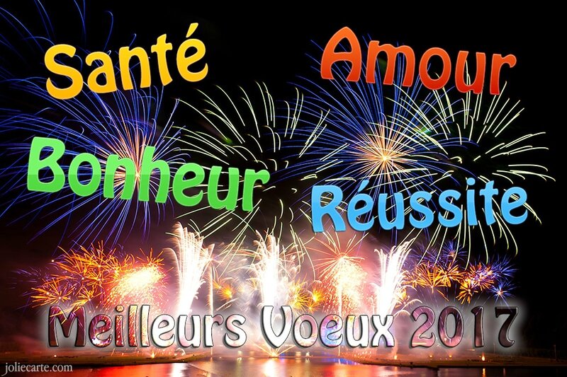 meilleurs-voeux-2017