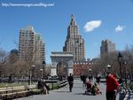 Washington_square_14