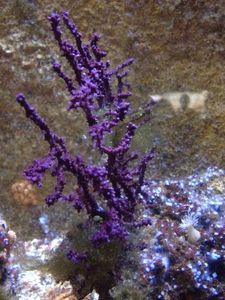 IMG_7716