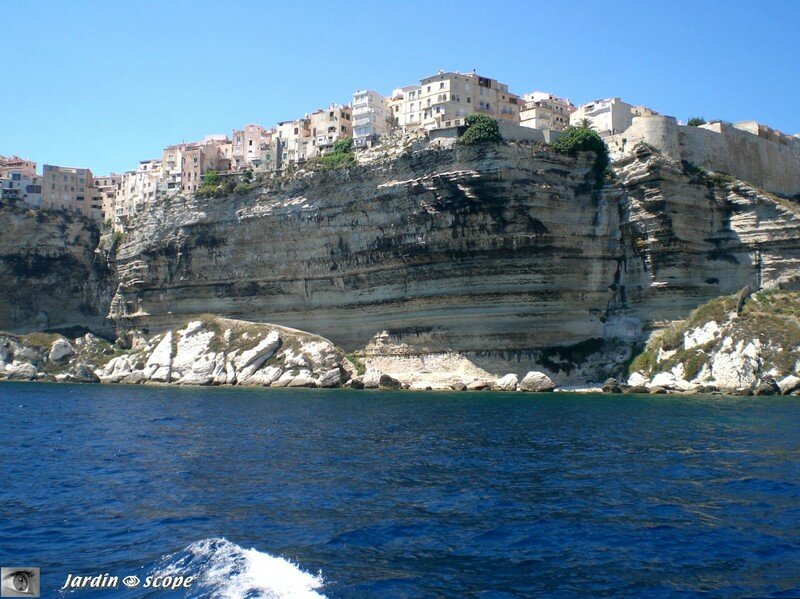 Bonifacio - La falaise et ses surplombs de plus de 6 m