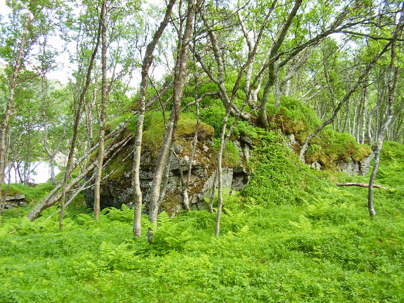 10-08-08 Grotfjord (82)