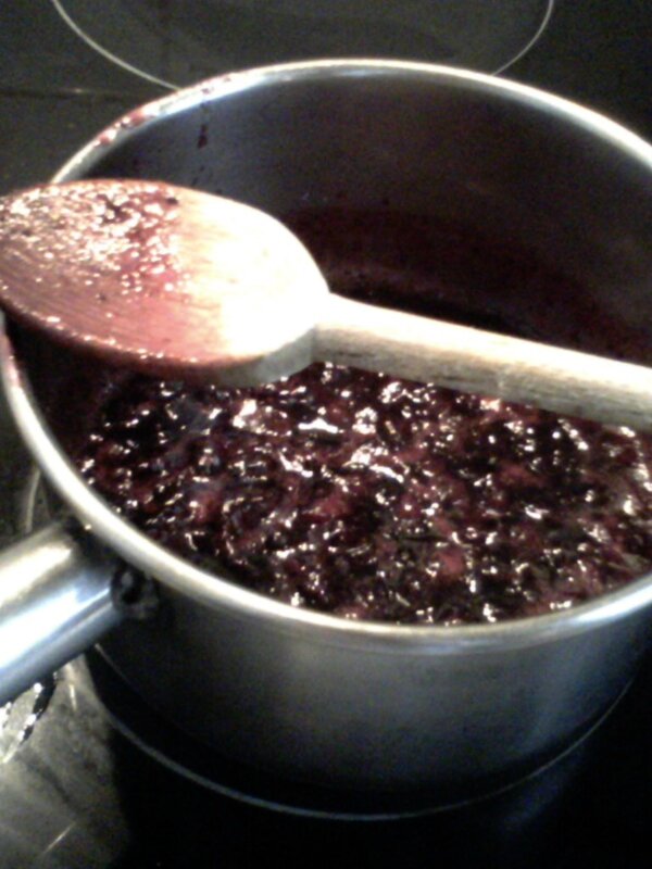 CONFITURE D'AIRELLES