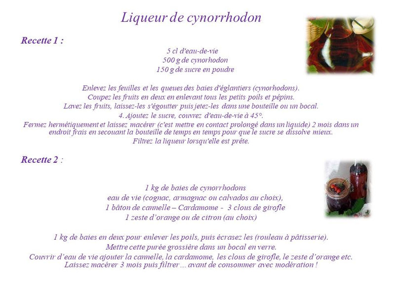 Liqueur de Cynorrhodon