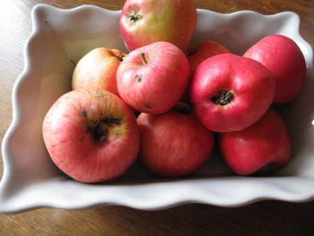 pommes_01