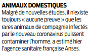 2020 04 21 SO les animaux et le virus
