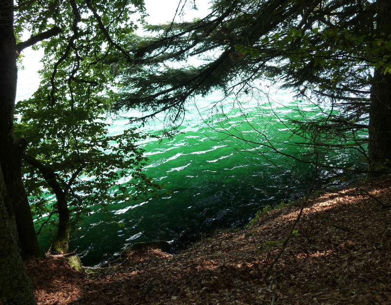 lac Pavin
