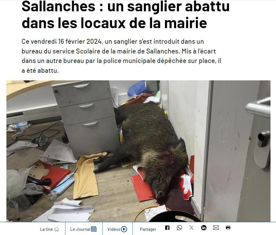 Nouveau fonctionnaire