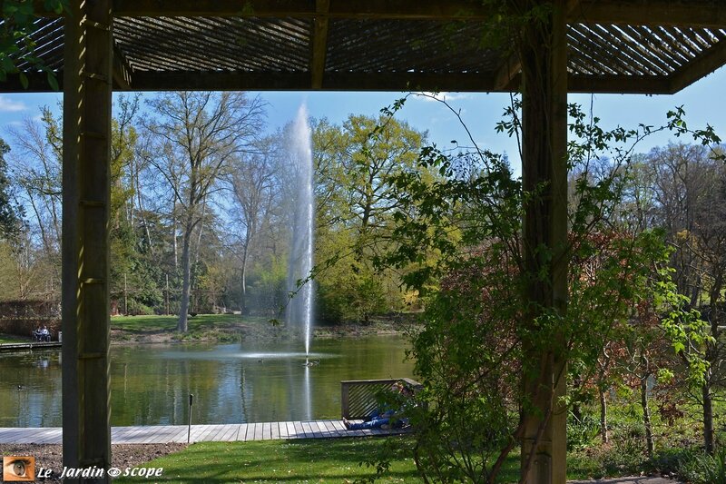 Miroir d'eau du Parc Floral d'Orléans et son jet d'eau
