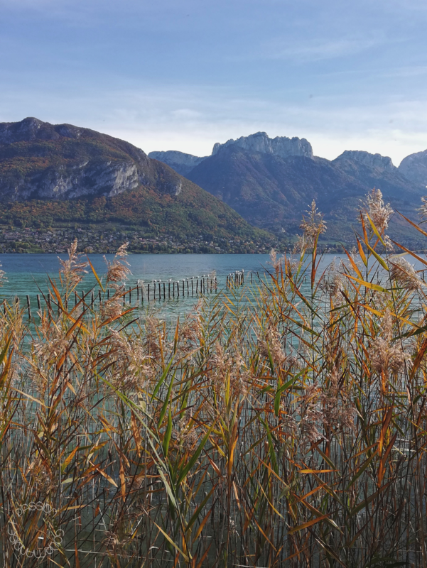 Annecy 2020_31