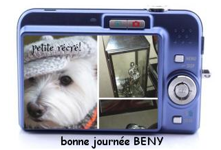 BENY12